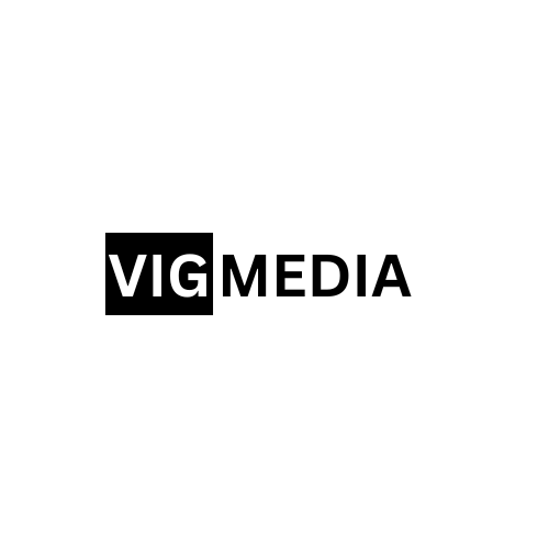 VIG MEDIA